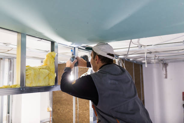 Best Insulation Removal Services  in Laurel Hollow, NY